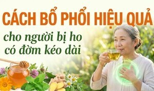 Cách bổ phổi hiệu quả cho người bị ho có đờm kéo dài
