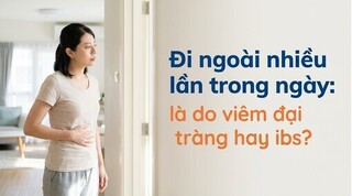 Đi ngoài nhiều lần trong ngày: là do viêm đại tràng hay IBS?