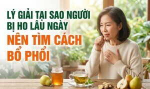 Lý giải tại sao người bị ho lâu ngày nên tìm cách bổ phổi