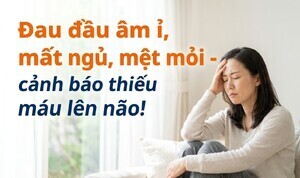 Đau đầu âm ỉ, mất ngủ, mệt mỏi - cảnh báo thiếu máu lên não!