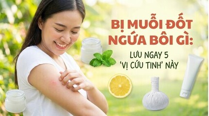 Bị muỗi đốt ngứa bôi gì: lưu ngay 5 