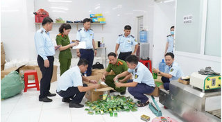 Cảnh sát Kinh tế triệt phá đường dây sản xuất dầu gió giả