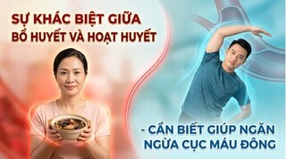 Sự khác biệt giữa bổ huyết và hoạt huyết - ngăn ngừa cục máu đông