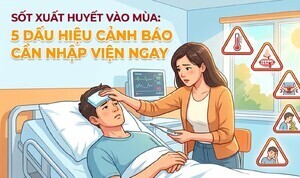 Sốt xuất huyết vào mùa: 5 dấu hiệu cảnh báo cần nhập viện ngay