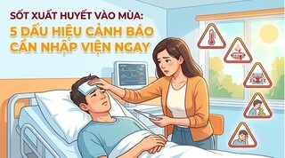 Sốt xuất huyết vào mùa: 5 dấu hiệu cảnh báo cần nhập viện ngay