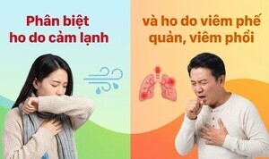Phân biệt ho do cảm lạnh và ho do viêm phế quản, viêm phổi