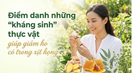 Điểm danh những 