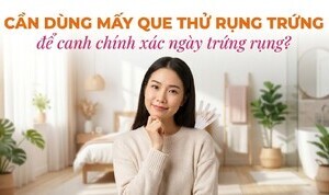 Cần dùng mấy que thử rụng trứng để canh chính xác ngày trứng rụng?