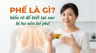 Phế là gì? hiểu rõ để biết tại sao bị ho nên bổ phế
