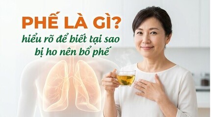 Phế là gì? hiểu rõ để biết tại sao bị ho nên bổ phế