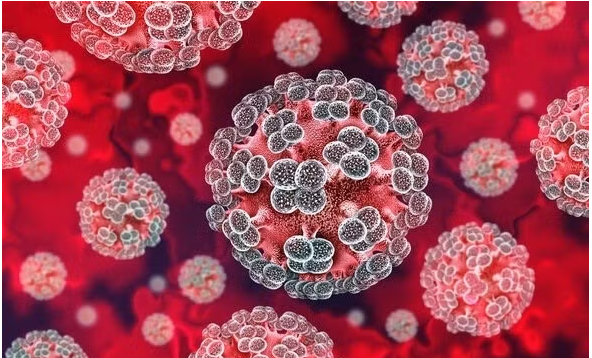 Chuyên gia lên tiếng về 'hiểm họa toàn cầu mang tên virus Hanta'