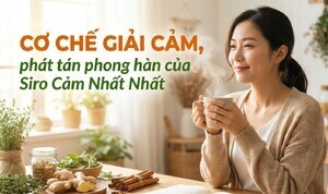 Cơ chế giải cảm, phát tán phong hàn của Siro Cảm Nhất Nhất