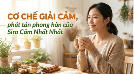 Cơ chế giải cảm, phát tán phong hàn của Siro Cảm Nhất Nhất