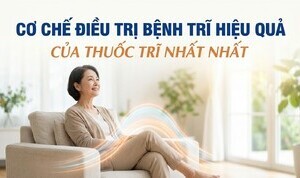 Cơ chế điều trị bệnh trĩ hiệu quả của Thuốc Trĩ Nhất Nhất