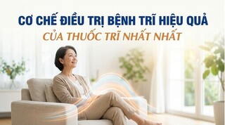 Cơ chế điều trị bệnh trĩ hiệu quả của Thuốc Trĩ Nhất Nhất
