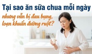 Tại sao ăn sữa chua mỗi ngày nhưng vẫn bị loạn khuẩn đường ruột?