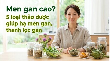 Men gan cao? 5 loại thảo dược giúp hạ men gan, thanh lọc gan