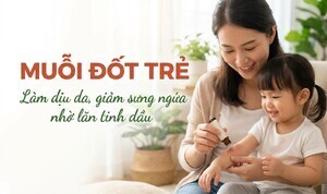 Muỗi đốt trẻ: làm dịu da, giảm sưng ngứa nhờ lăn tinh dầu