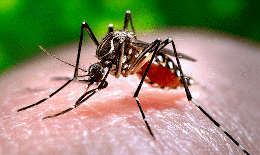 Hướng dẫn sử dụng Xịt Antimuoi Nhất Nhất ngăn ngừa muỗi