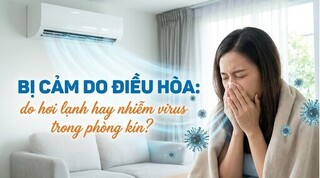 Bị cảm do điều hòa: do hơi lạnh hay nhiễm virus trong phòng kín?