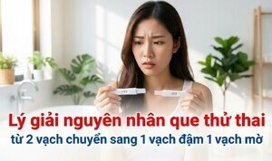 Nguyên nhân que thử thai từ 2 vạch chuyển sang 1 vạch đậm 1 vạch mờ
