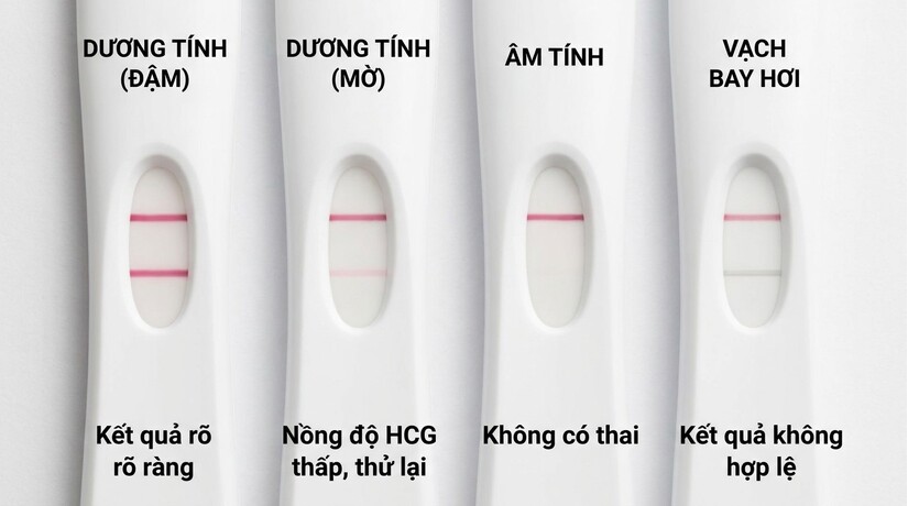 Nguyên nhân que thử thai từ 2 vạch chuyển sang 1 vạch đậm 1 vạch mờ