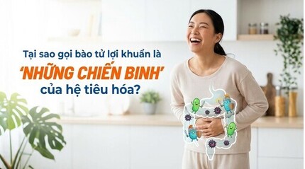 Tại sao gọi bào tử lợi khuẩn là 