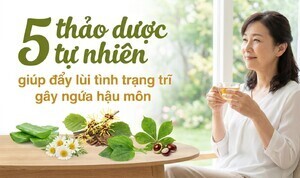 5 thảo dược tự nhiên giúp đẩy lùi tình trạng trĩ gây ngứa hậu môn