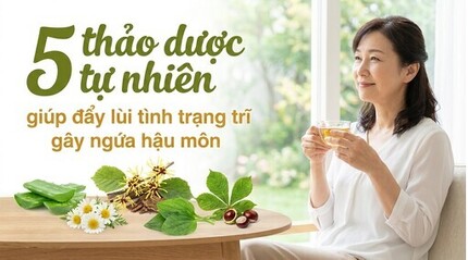 5 thảo dược tự nhiên giúp đẩy lùi tình trạng trĩ gây ngứa hậu môn