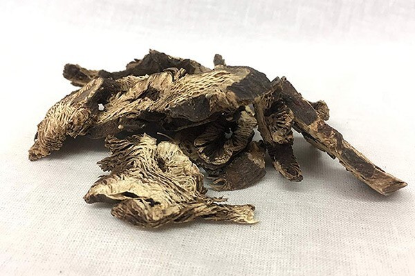 5 thảo dược tự nhiên giúp đẩy lùi tình trạng trĩ gây ngứa hậu môn
