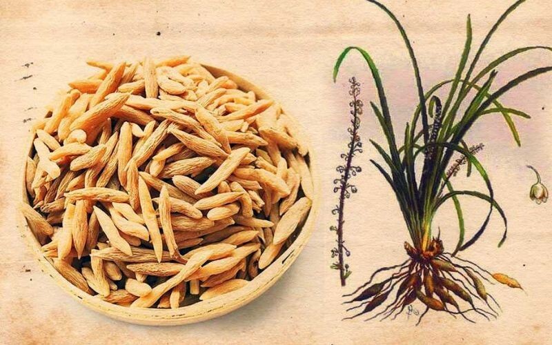 Giải mã 5 lý do siro ho thảo dược giúp bảo vệ hệ hô hấp