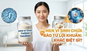 Men vi sinh thông thường và men vi sinh chứa bào từ lợi khuẩn