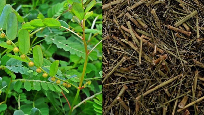 Sau những buổi tiệc tùng: cách thanh lọc gan đơn giản