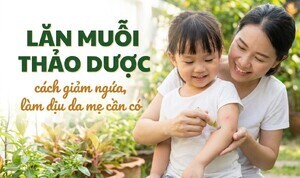 Lăn muỗi thảo dược - cách giảm ngứa, làm dịu da mẹ cần có