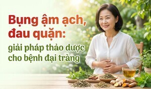 Bụng ậm ạch, đau quặn: giải pháp thảo dược cho bệnh đại tràng