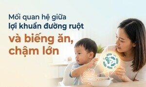 Mối quan hệ giữa lợi khuẩn đường ruột và biếng ăn, chậm lớn