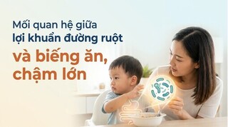 Mối quan hệ giữa lợi khuẩn đường ruột và biếng ăn, chậm lớn