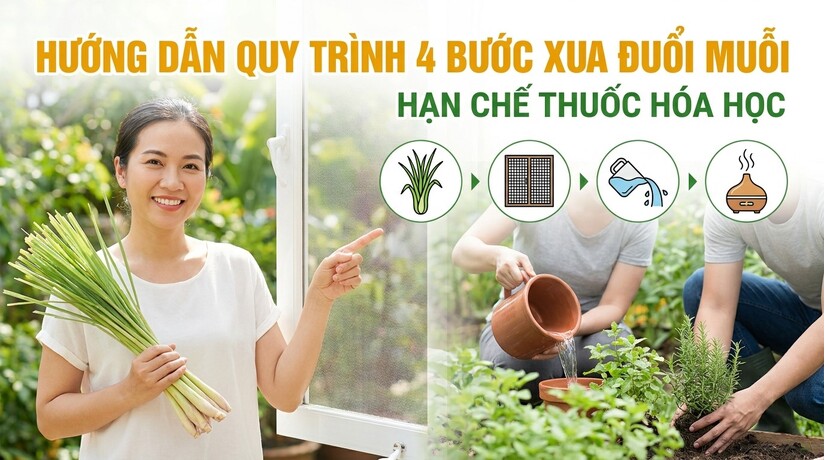 Hướng dẫn quy trình 4 bước xua đuổi muỗi, hạn chế thuốc hóa học