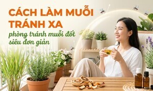 Cách làm muỗi tránh xa, phòng tránh muỗi đốt siêu đơn giản