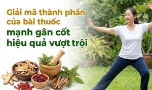 Giải mã thành phần của bài thuốc mạnh gân cốt hiệu quả vượt trội