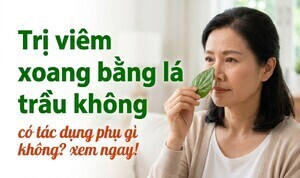 Trị viêm xoang bằng lá trầu không có tác dụng phụ gì không? xem ngay!