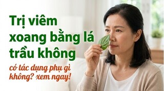 Trị viêm xoang bằng lá trầu không có tác dụng phụ gì không? xem ngay!
