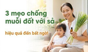 3 mẹo chống muỗi đốt với sả: hiệu quả đến bất ngờ!