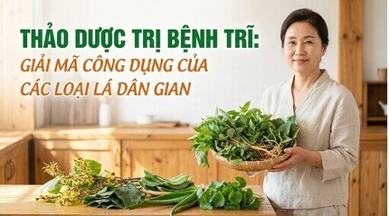 Thảo dược trị bệnh trĩ: giải mã công dụng của các loại lá dân gian