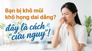 Bạn bị khô mũi khô họng dai dẳng? đây là cách 