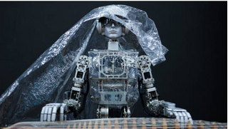 Mỹ cấm robot hình người Trung Quốc