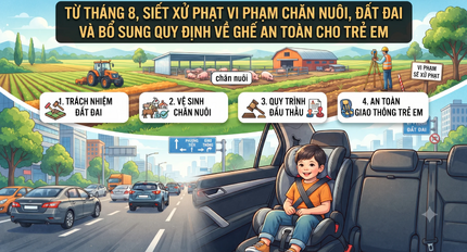 Từ tháng 8, siết xử phạt vi phạm chăn nuôi, đất đai và bổ sung quy định về ghế an toàn cho trẻ em