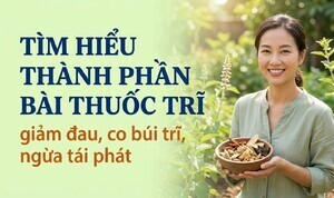 Tìm hiểu thành phần bài thuốc trĩ giảm đau, co búi trĩ, ngừa tái phát