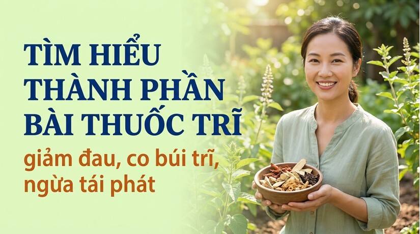 Tìm hiểu thành phần bài thuốc trĩ giảm đau, co búi trĩ, ngừa tái phát