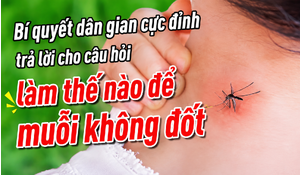 Bí quyết dân gian trả lời cho câu hỏi làm thế nào để muỗi không đốt